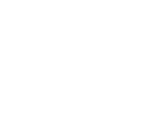 LogoWhte