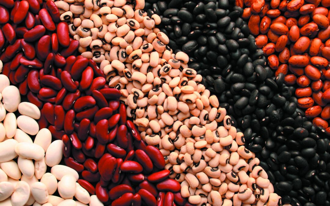 Beans Beans the Marvelous Fruit