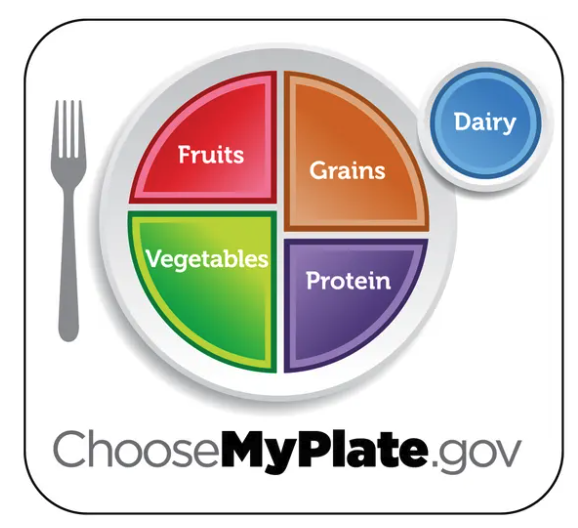 New Food Pyramid