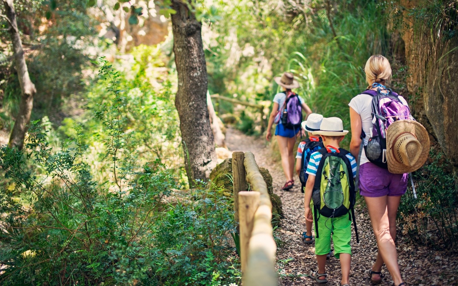 Healthy family on nature walk